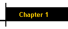 Chapter 1