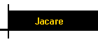 Jacare