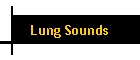 Lung Sounds