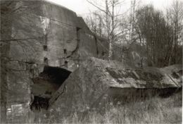 ruins of German bunker at Wolfschanze